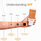 Korean 5% Mushroom Essence Sunscreen SPF 50+ PA++++ - Hydrating Sun Protection with Light Feel | 50ml